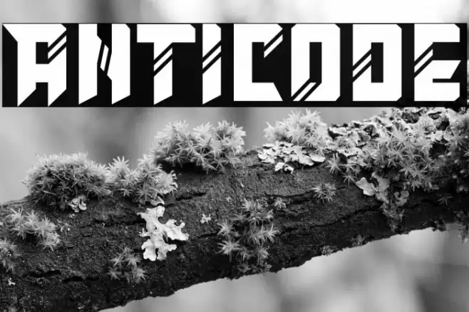 Anticode Font examples