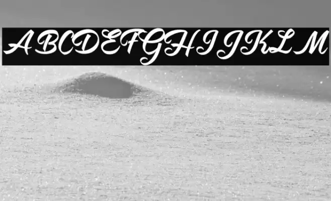 Antidote Personal Use  Font examples