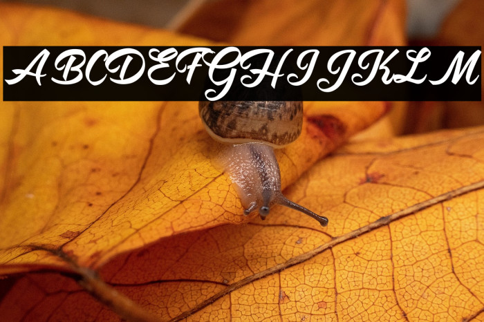 Antidote Personal Use  Example 2