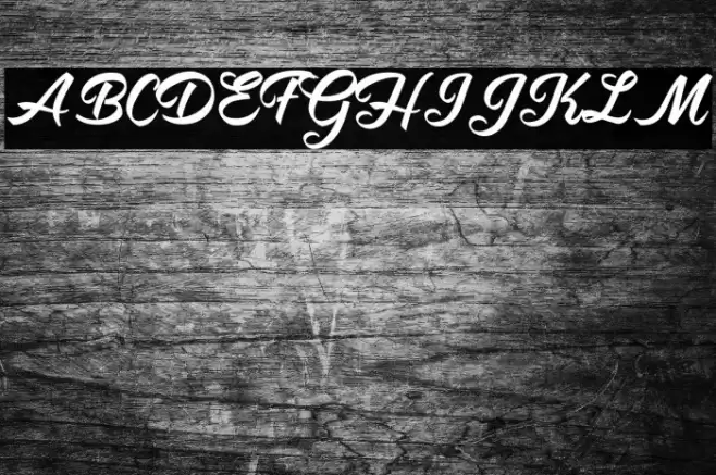 Antidote Personal Use  Font examples