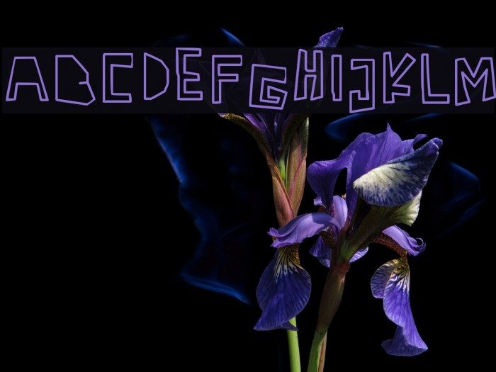 Antidotes Font examples