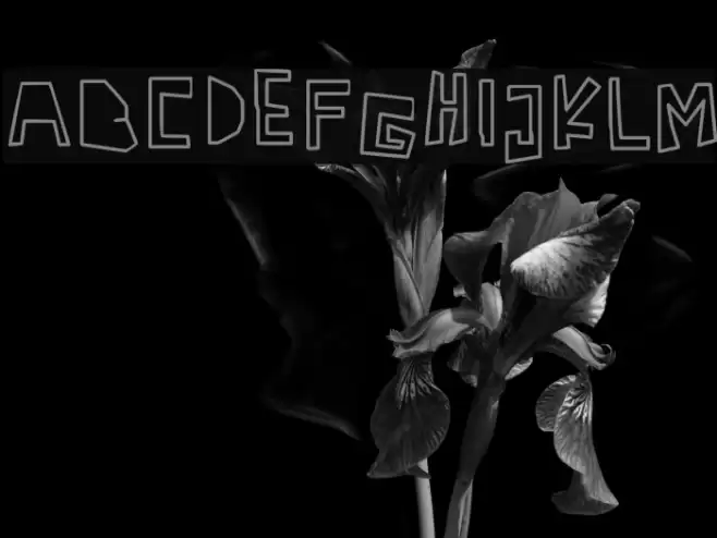 Antidotes Caratteri examples