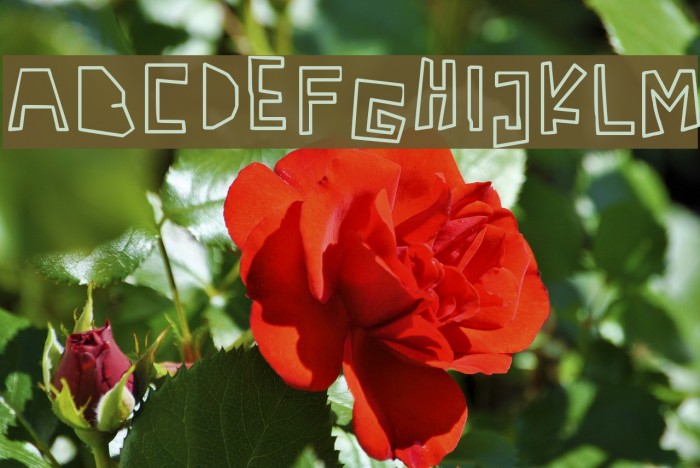 Antidotes Font examples
