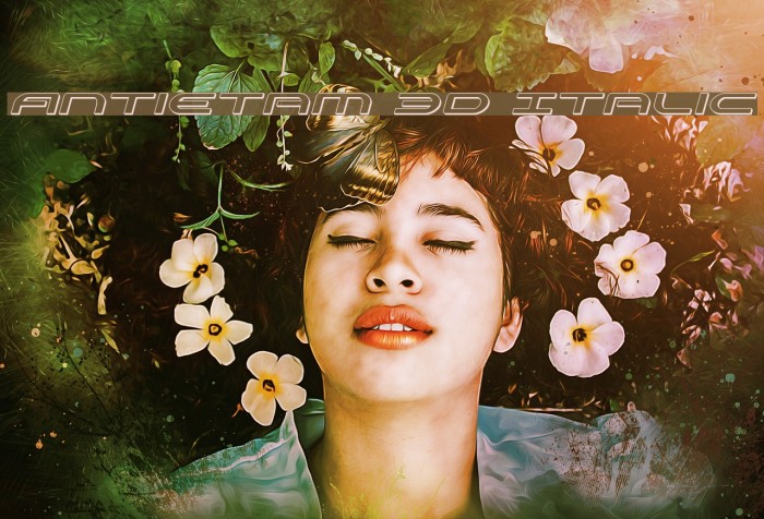 Antietam 3D Italic Example 2