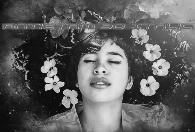 Antietam 3D Italic Font examples