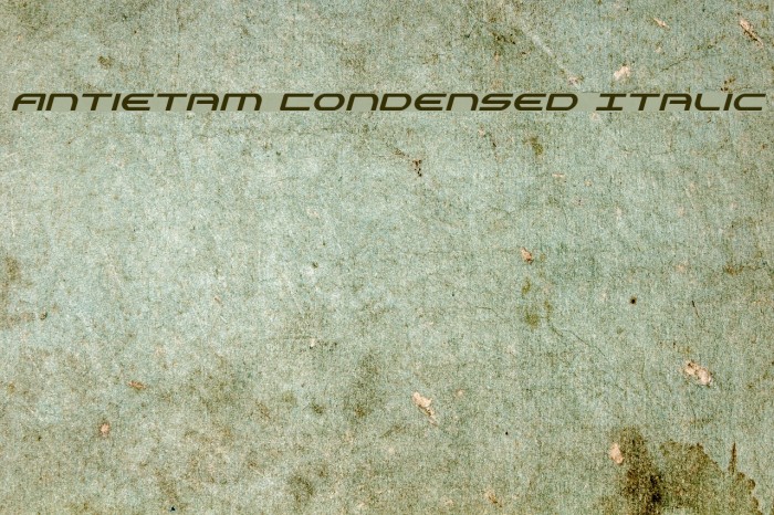 Antietam Condensed Italic Font examples