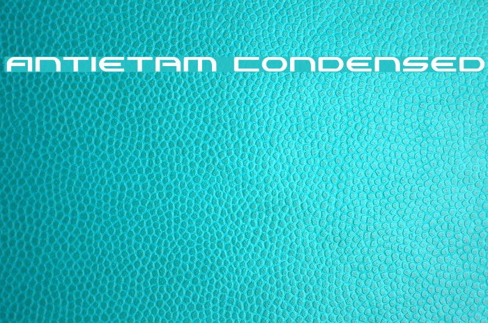 Antietam Condensed Font examples