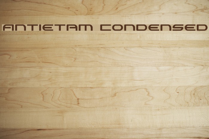 Antietam Condensed Font examples