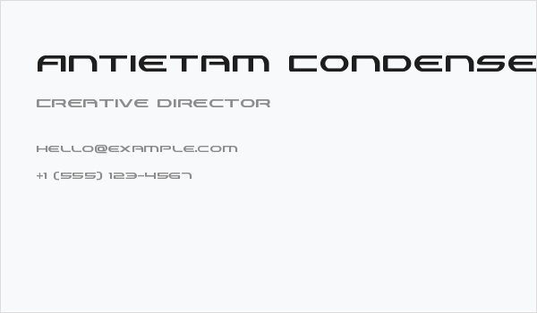 Antietam Condensed Business Card