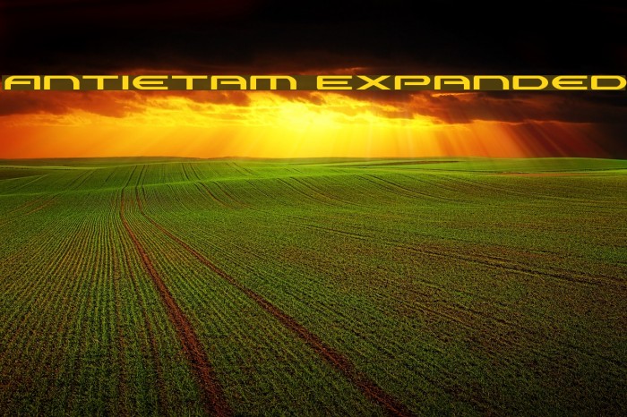 Antietam Expanded Font examples