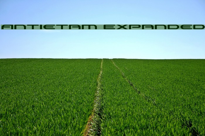 Antietam Expanded Font examples