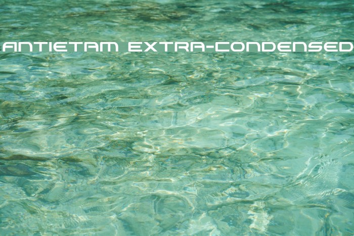 Antietam Extra-Condensed Font examples