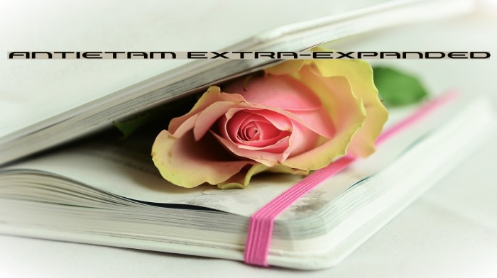 Antietam Extra-Expanded Font examples