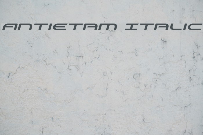 Antietam Italic Font examples