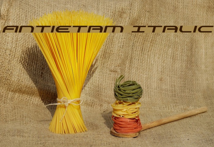 Antietam Italic Font examples