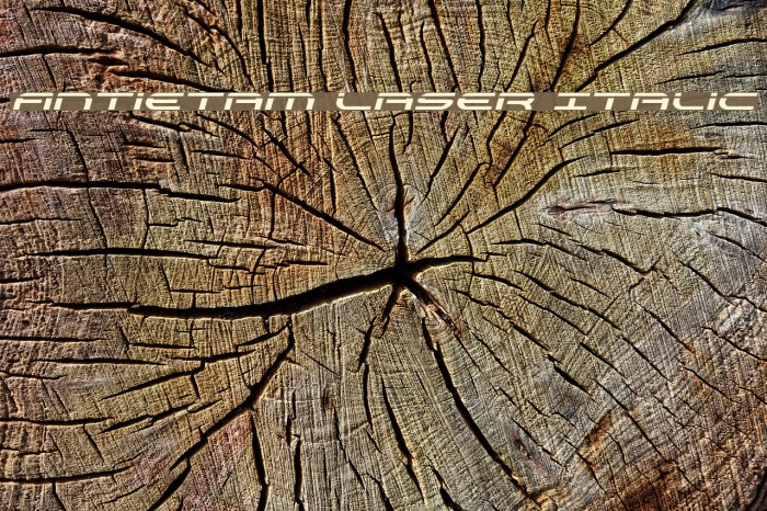 Antietam Laser Italic Font examples