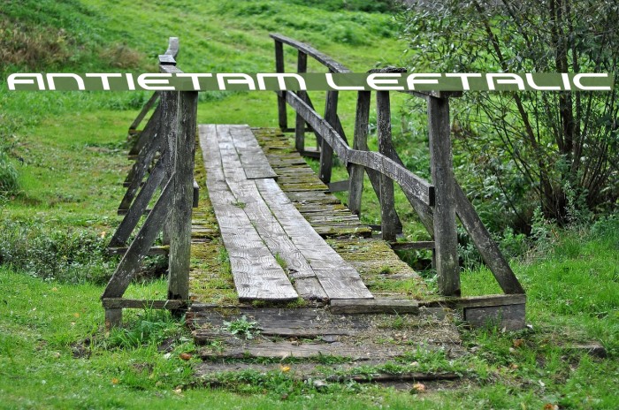 Antietam Leftalic Example 1