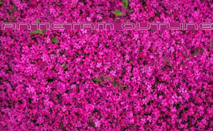 Antietam Outline Example 2