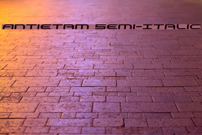 Antietam Semi-Italic Font examples