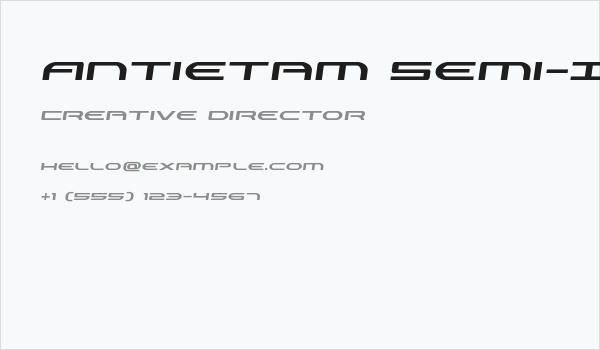 Antietam Semi-Italic Business Card