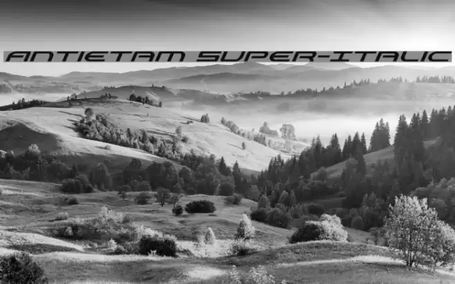 Antietam Super-Italic Font examples