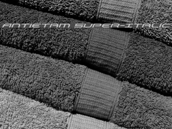 Antietam Super-Italic Font examples