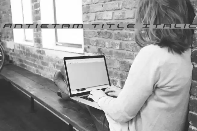 Antietam Title Italic Font examples