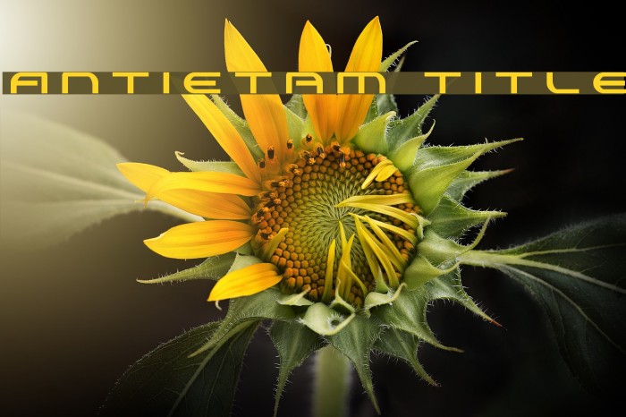 Antietam Title Font examples