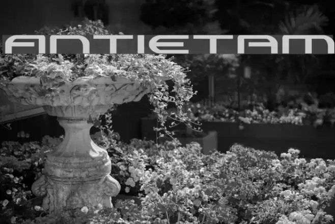 Antietam Font examples