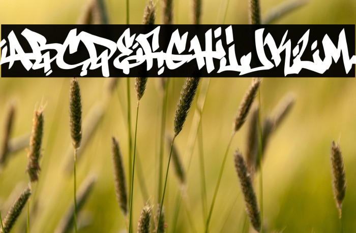 Antifont DEMO Example 1