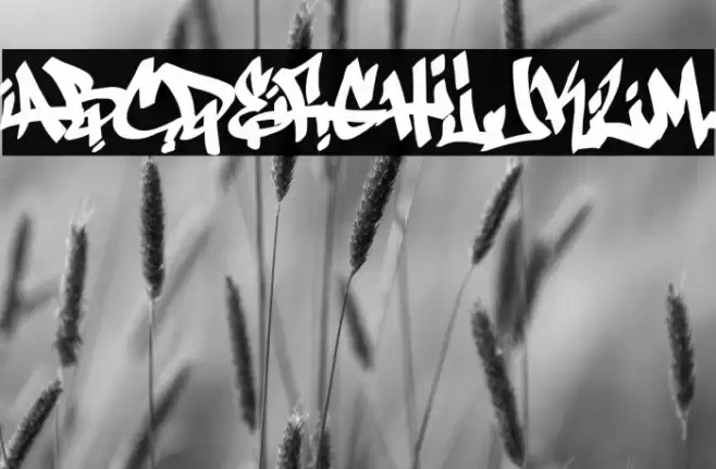 Antifont DEMO Font examples