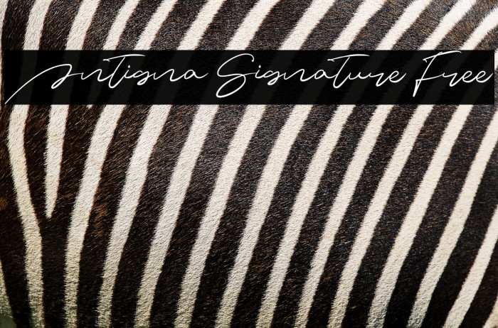 Antigna Signature Free Example 2