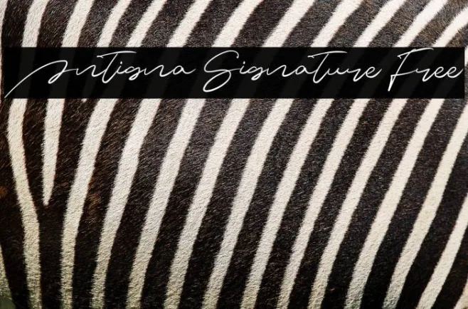 Antigna Signature Free Example 2