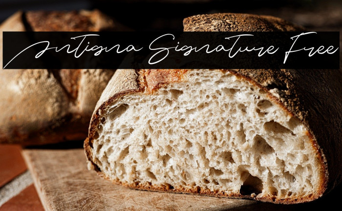 Antigna Signature Free Example 3