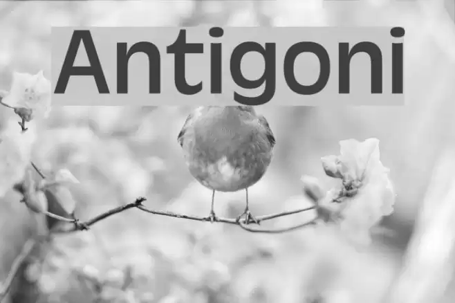 Antigoni Font examples