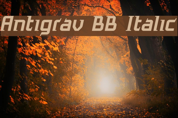 Antigrav BB Italic Font examples