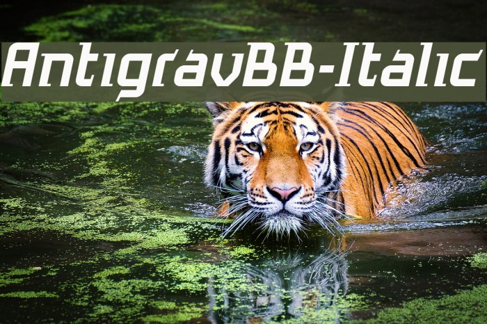 AntigravBB-Italic Example 1
