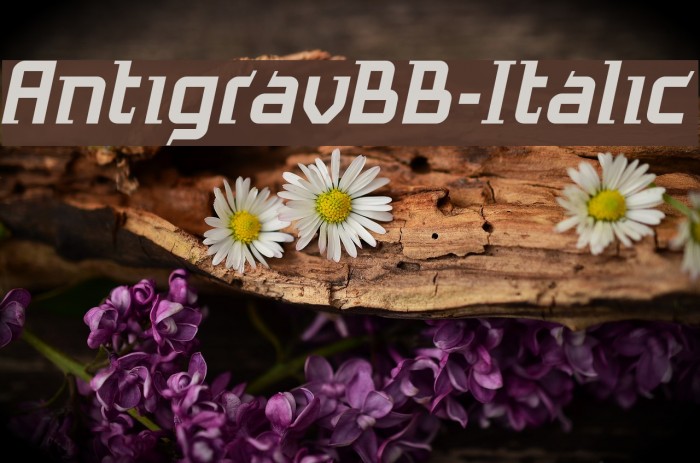 AntigravBB-Italic Example 2