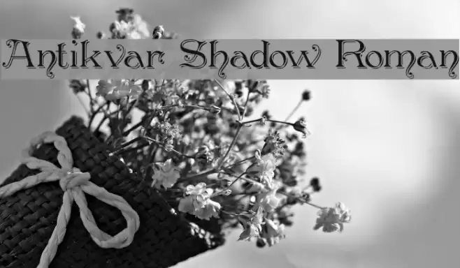 Antikvar Shadow Roman Font examples