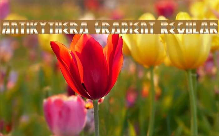 Antikythera Gradient Regular Font examples
