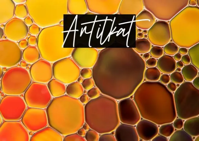 Antilkat Example 1