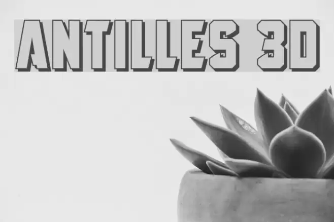 Antilles 3D Polices examples