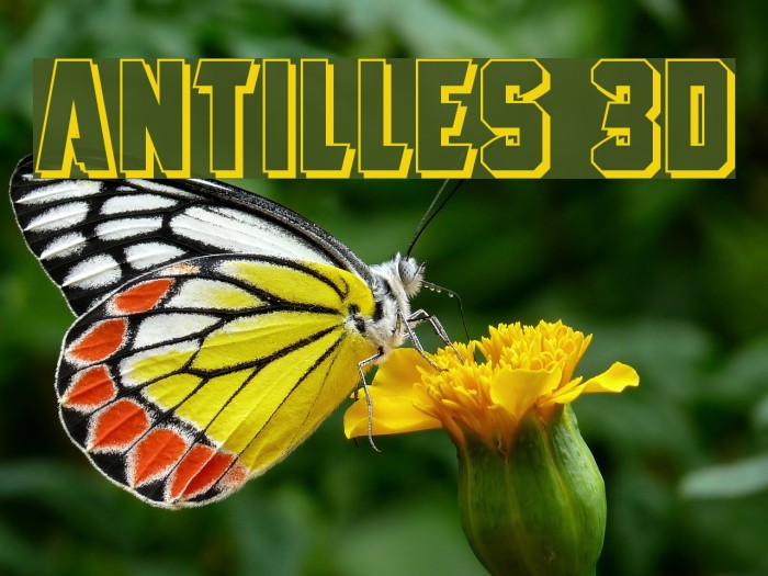 Antilles 3D Font examples
