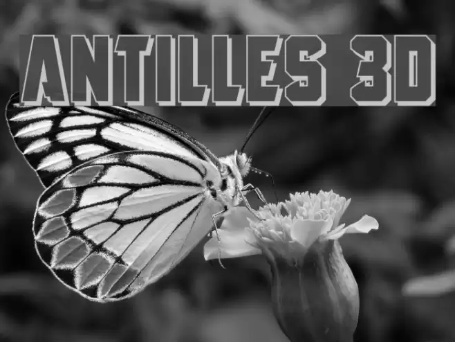 Antilles 3D Polices examples