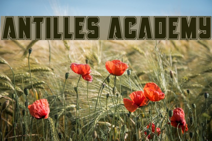 Antilles Academy Font examples