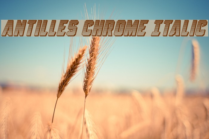 Antilles Chrome Italic Font examples