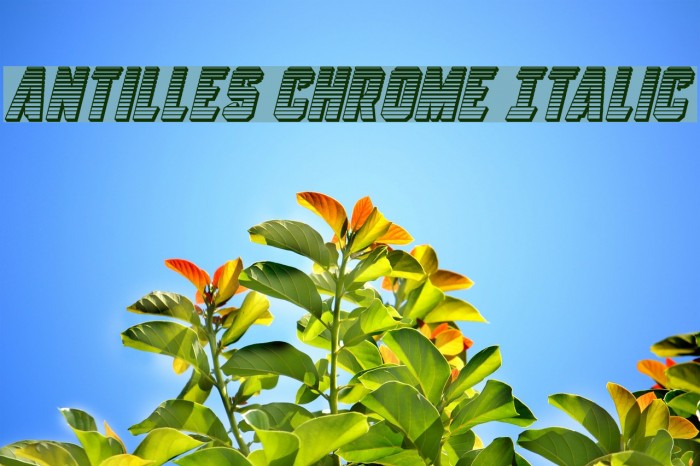 Antilles Chrome Italic Font examples