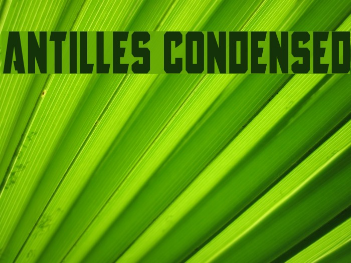 Antilles Condensed Example 2