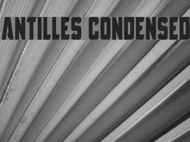 Antilles Condensed Font examples
