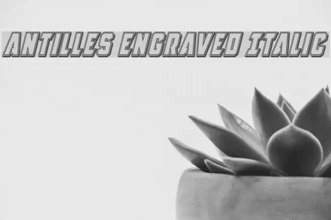 Antilles Engraved Italic Font examples